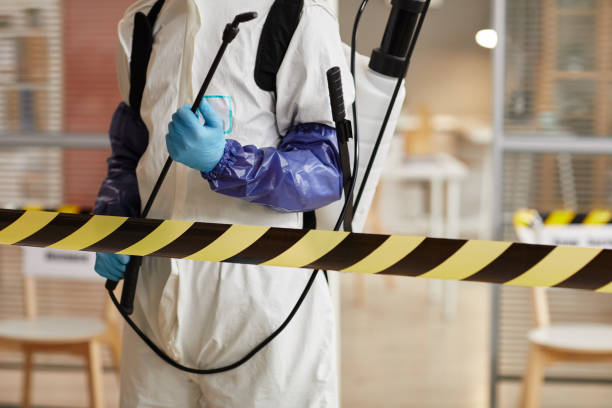 Professional Sewage Cleanup technician working in Colmar, PA